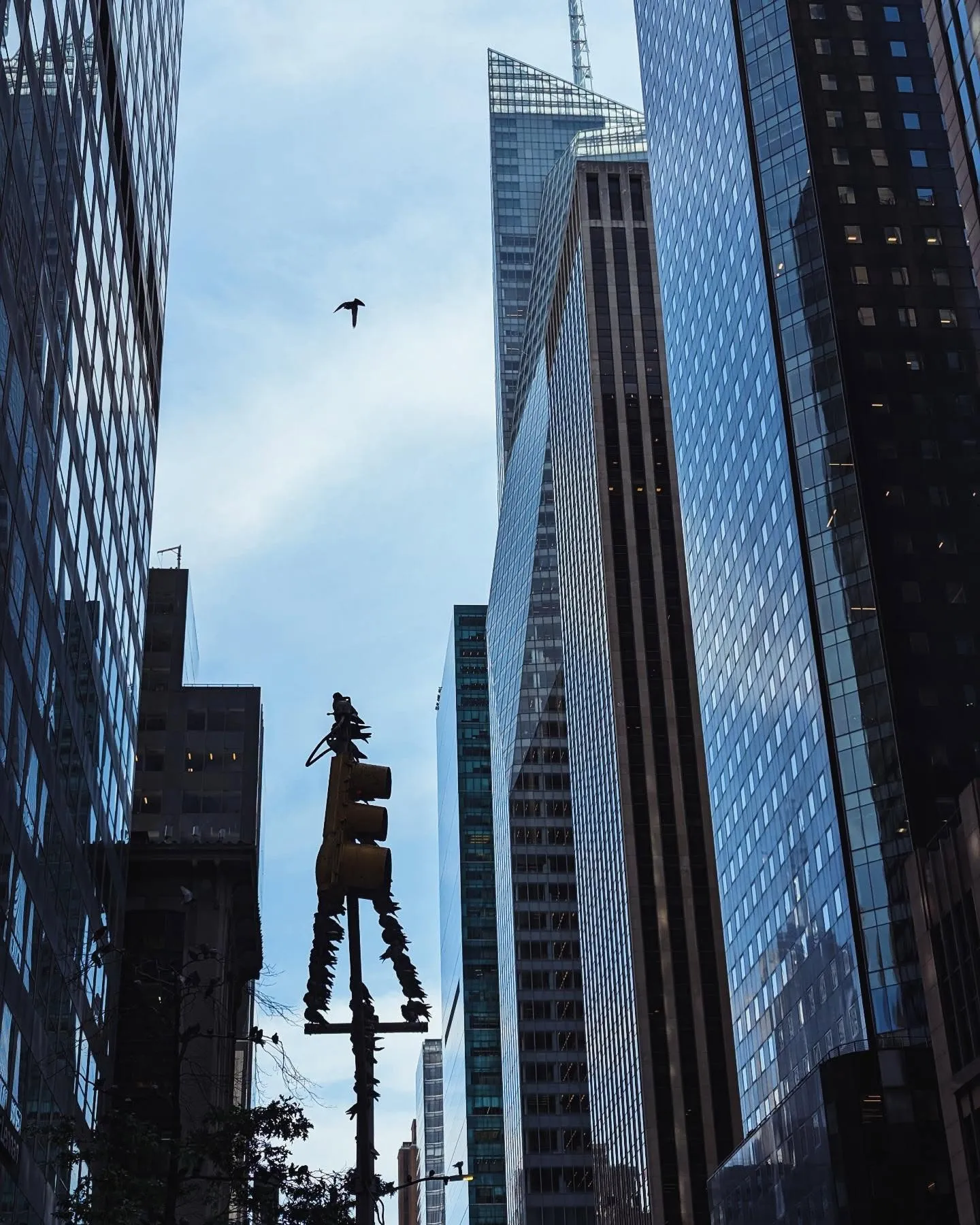 Midtown