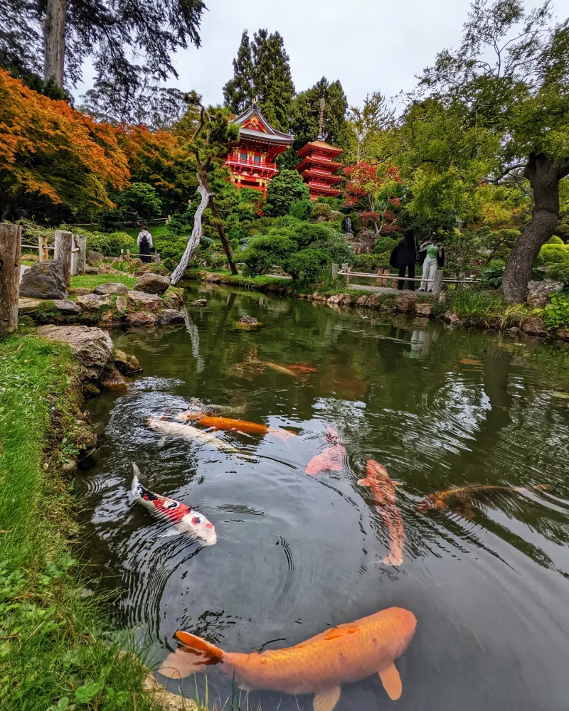 The Tea Garden
