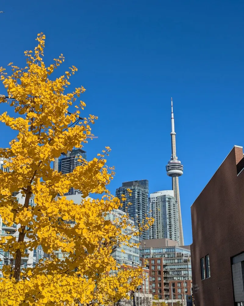 Ginkgo and the Tower